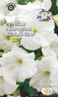 Петуния Белый шар F1 - купить с доставкой