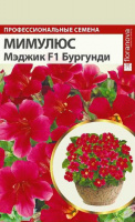 Мимулюс Мэджик Бургунди - купить с доставкой