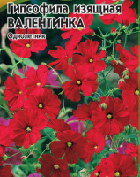 Гипсофила изящная Валентинка - купить с доставкой