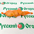Лукочеснок Рокамболь