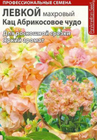 Левкой кац Абрикосовое чудо махровый - купить с доставкой
