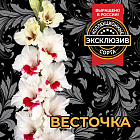 Гладиолус Весточка (горшок Р9)