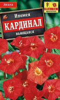Ипомея Кардинал вьющаяся - купить с доставкой
