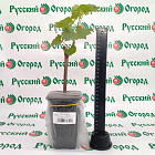 Виноград Маркетт