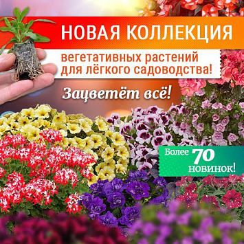 Новая коллекция укорененных черенков!