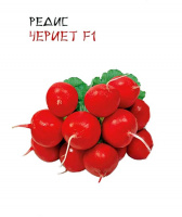 Редис Чериет F1 - купить с доставкой