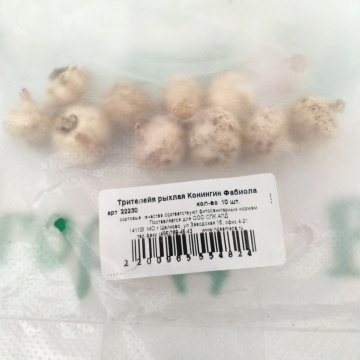 Стандарт поставки 1 Трителейя рыхлая Конингин (Квин) Фабиола