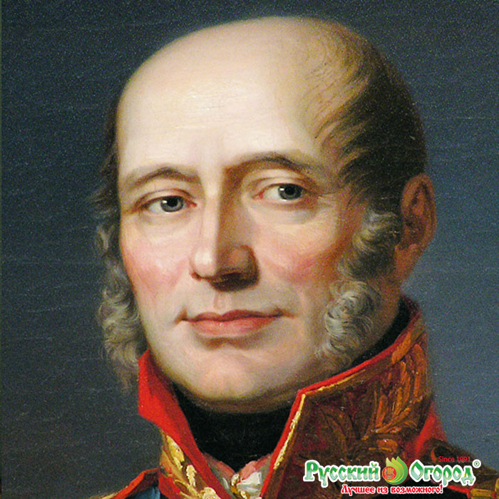 П барклай де толли. М.Б. Барклай-де-Толли. Барклай де Толли фото. Барклай де Толли портрет.