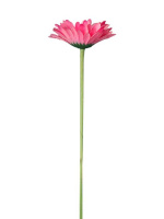 Искусственный цветок Розовая Гербера - купить с доставкой