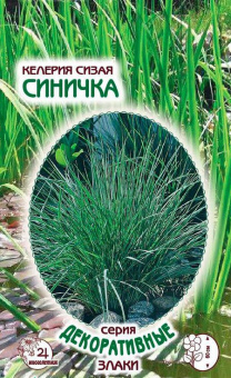 Келерия сизая Синичка