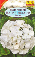 Пеларгония Магия лета F2 белая - купить с доставкой
