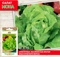 Салат кочанный Мона