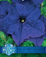 Петуния Великая синяя F1,серия Русский богатырь - купить с доставкой