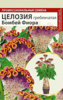 Целозия Бомбей Фиора гребенчатая - купить с доставкой