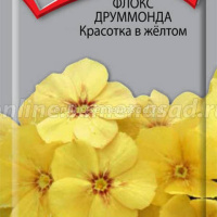 Флокс друммонда Красотка в жёлтом  - купить с доставкой
