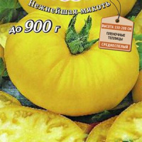 Томат Искуситель - купить с доставкой