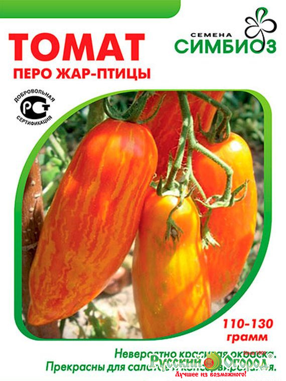 томат жар птица сладкая. сорт помидора жар птица. томат dwarf firebird sweet. томат жар птица сладкая. томат сорт гном жар птица.