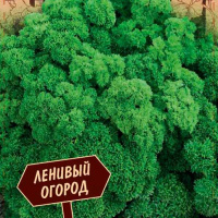 Петрушка листовая Красотка - купить с доставкой