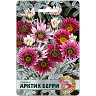Газания Арктик Берри