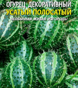 Огурец декоративный Усатый полосатый