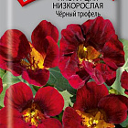 Темно-красный