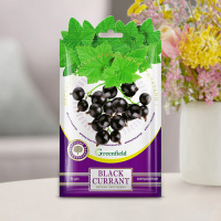 Фруктовая композиция ароматизатор Black Currant - купить с доставкой