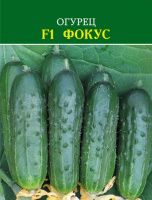Огурец F1 Фокус - купить с доставкой