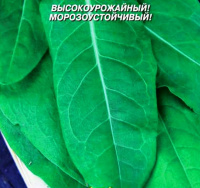 Щавель Чемпион - купить с доставкой