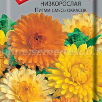 Календула низкорослая Пигми смесь окрасок  - купить с доставкой