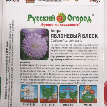Стандарт поставки 2 Астра Яблоневый блеск Стандарт поставки 2 Астра Яблоневый блеск