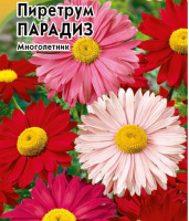 Пиретрум Парадиз - купить с доставкой