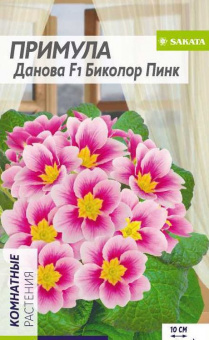 Примула Данова биколор пинк