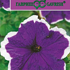 Бело-голубой