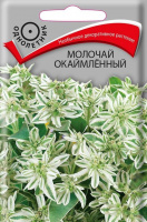 Молочай окаймленный - купить с доставкой