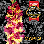 Гладиолус Марго