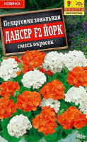 Пеларгония Дансер F2 Йорк, смесь окрасок - купить с доставкой