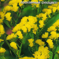 Статице Бондюелли - купить с доставкой