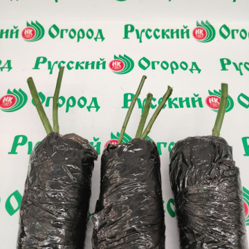 Стандарт поставки 2 Роза Сунита