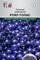 Лобелия ежевидная Роял Пэлас - купить с доставкой