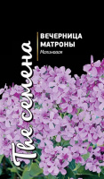 Вечерница Матроны Малиновая - купить с доставкой