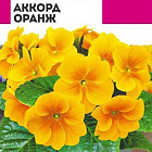 Желто-оранжевый