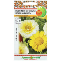 Хризантема Махровая, смесь - купить с доставкой