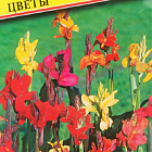 Красно-желтый