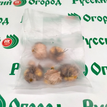 Стандарт поставки 1 Гладиолус Лас Вегас