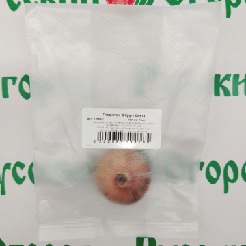 Стандарт поставки 2 Гладиолус В Круге Света