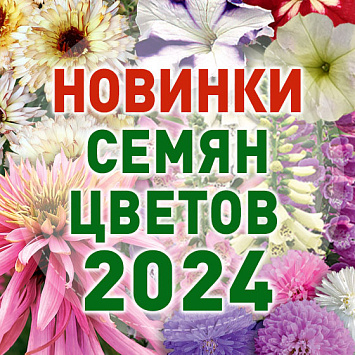 НОВИНКИ СЕМЯН ЦВЕТОВ 2024