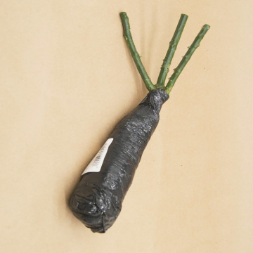 Стандарт поставки 8 Роза Эльф