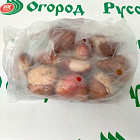 Смесь бахромчатых тюльпанов  
