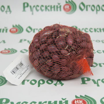 Стандарт поставки 1 Лук-севок Ред Кармен (Россия)