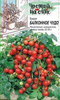 Томат Балконное чудо серия Урожай на окне - купить с доставкой
